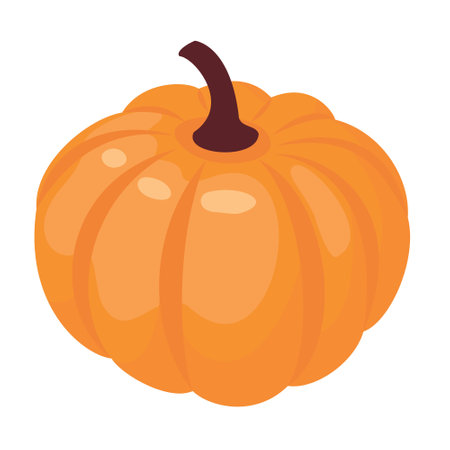 Pumpkin. Vector clipart , white background.のイラスト素材