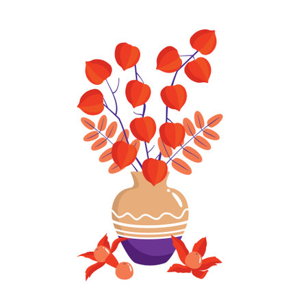 Physalis berries, branches and red rowan leaves in a vase. Vector, white background, clipart.のイラスト素材