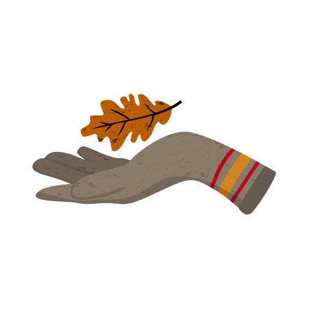 A hand in a woolen glove with an autumn oak leaf. Vector illustration on a white background isolated.のイラスト素材