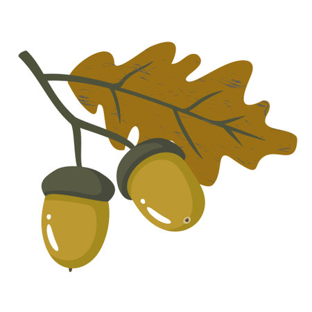 Acorns on a branch with autumn oak leaves. Illustrated clipart.のイラスト素材