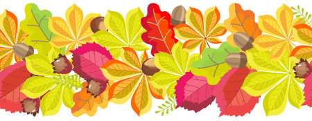 Autumn seamless border with bright yellow-red leaves of chestnut, oak, hazelnut, hazelnut fruit, acorns. Botanical vector flat illustration on a white background.のイラスト素材