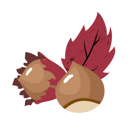 Hazelnut with a leaf. Vector drawing on a white background isolated.のイラスト素材