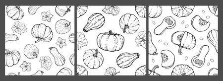 Pumpkin seamless patterns set. Black outline on a white background. Pumpkins of various shapes and characters, hand-drawn. Sketch. Vector illustrated clipart.のイラスト素材