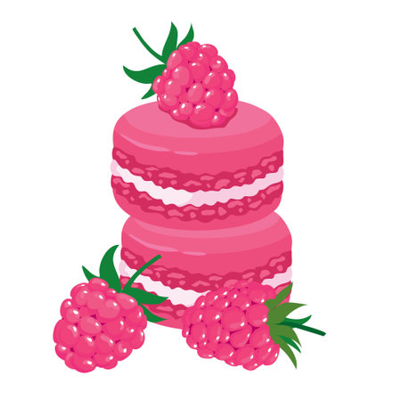 Raspberry macaroon, berries, ripe raspberry. Vector, white background, isolated.のイラスト素材
