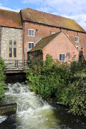 Salisbury fullsの写真素材