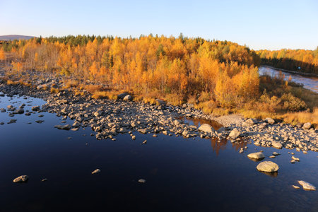 Golden autumn on the island