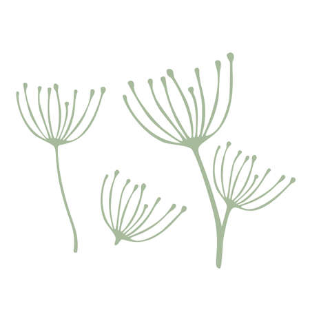 Leaves vector set isolated from the background Leaves different shapes in modern flat styleのイラスト素材