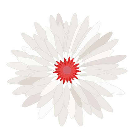 Daisy Flower head vector nature, plants, spring design. Colorful flower isolated on white, ,Flat floral design elementのイラスト素材