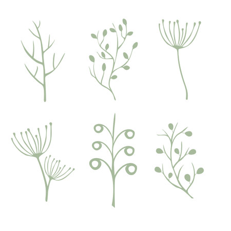 Leaves vector set isolated from the background Leaves different shapes in modern flat styleのイラスト素材