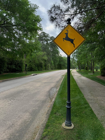 Deer crossing sign on suburban road with lush green trees concept of wildlife preservation and road safetyの写真素材