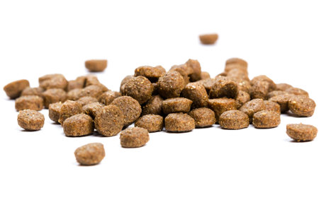 Cat food. Dry brown cat food is scattered on white background in close-up