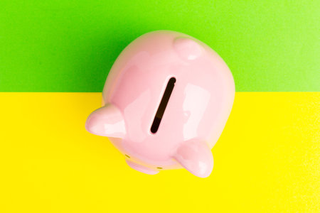 Piggy bank on yellow and green background, space for text. Finance, saving moneyの写真素材