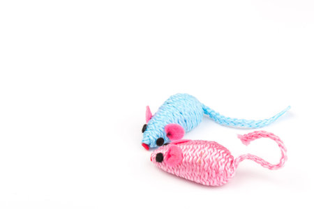 two blue and pink toy mice for a pet cat isolated on white background, close-upの写真素材