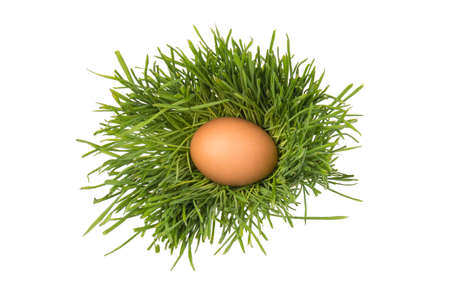 Brown chicken eggs on green grass, isolated on white background. Close-up. Easter concept, space for text.の写真素材