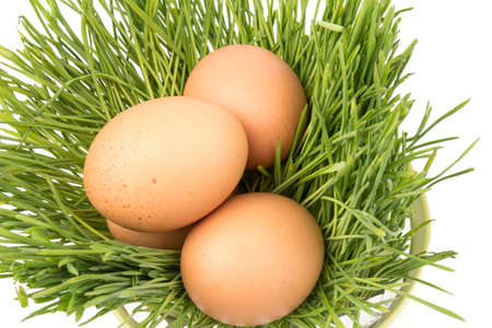 Brown chicken eggs on green grass, isolated on white background. Close-up. Easter concept, space for text.の写真素材