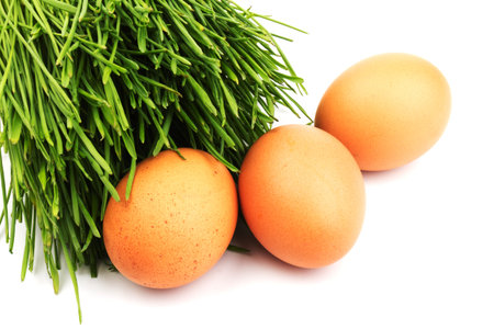 Brown chicken eggs on green grass, isolated on white background. Close-up. Easter concept, space for...