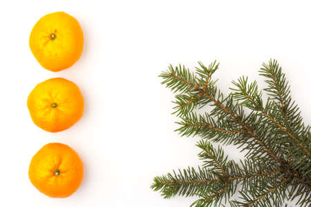 fir tree branches with tangerines. new year and Christmas backgroundの写真素材