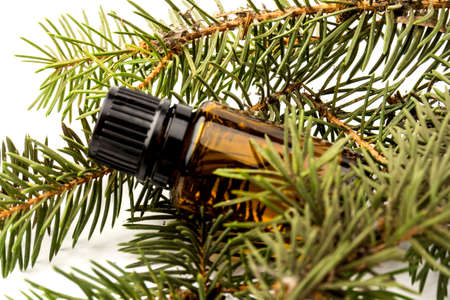 A bottle of fir essential oil with young fir branches, isolated on white backgroundの写真素材