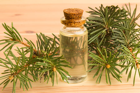 A bottle of fir essential oil with young fir branches on a wooden tableの写真素材