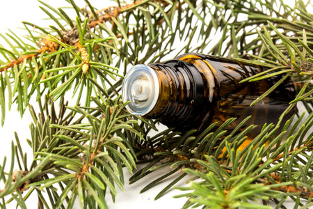 A bottle of fir essential oil with young fir branches, isolated on white backgroundの写真素材