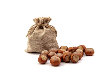 Fresh hazelnuts in bag from sacking isolated on white background.の写真素材