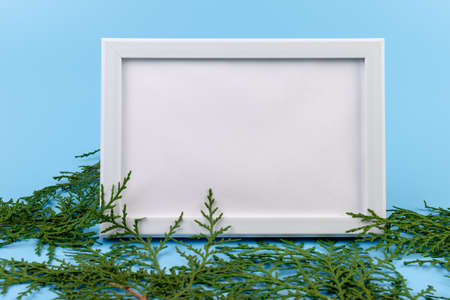 Blank white photo frame and green cypress branch on blue background. Christmas composition, copy space.の写真素材