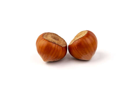 Hazel nuts on a white background. Hazelnut background, healthy foodの写真素材