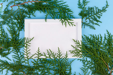 Blank white photo frame and green cypress branch on blue background. Christmas composition, copy...