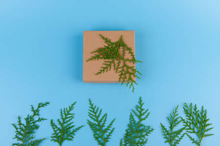 The concept of the New year, Christmas. Gift, cypress branches on a blue background. top viewの写真素材