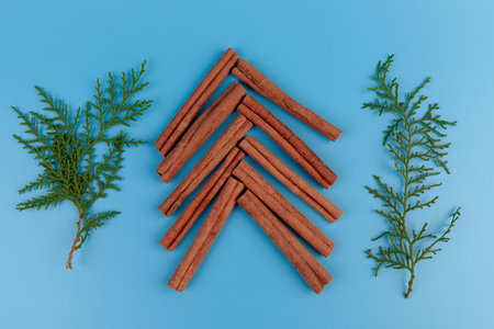 Christmas composition. Cypress branches, cinnamon stick, on blue background. Flat lay, top view, copy spaceの写真素材