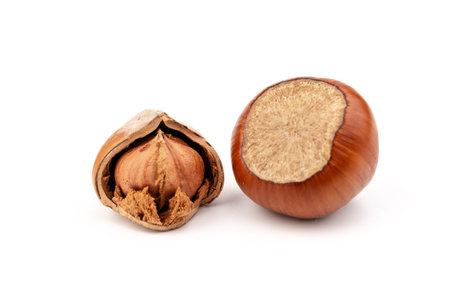 Hazel nuts on a white background. Hazelnut background, healthy food