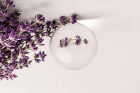 Fresh lavender flowers on white background, aromatherapy spa massage concept. Artistic crystal ball effect.の写真素材