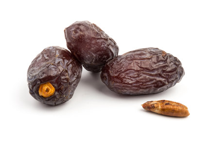 Dried date palm fruit solated on white background with clipping path. dry fruit concept.の写真素材