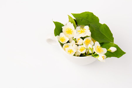 Jasmine flowers whith cup of tea on white background. Concept of Teatime.の写真素材