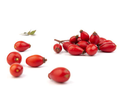 Rosehips (Rosa Canina fruits), isolated on white background.の写真素材