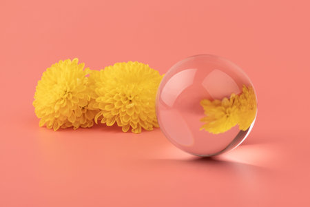 Abstract composition with flower reflected in a glass ball. Beauty blog layout.