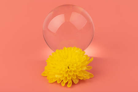 Abstract composition with flower reflected in a glass ball. Beauty blog layout.の写真素材