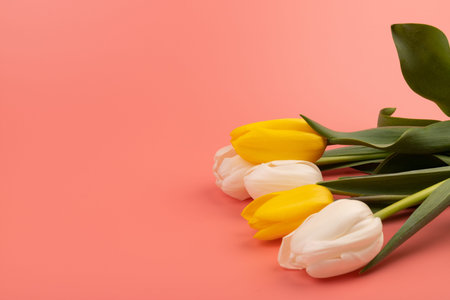 View from above tulips with copy space. Background for womens day, 8 March Valentines day, 14...