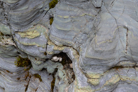 Colorful Rock Layers. Stone texture and background. Abstract natural pattern for design.