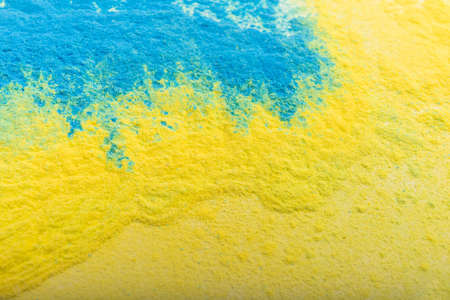 Ukrainian flag colors. Blue and yellow background from holi powder paint.の写真素材