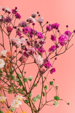 Floral beautiful pastel pink background. Colorful small flowers. Flowers Gypsophila. copyspace.