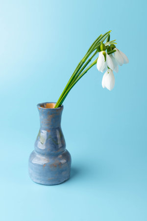 snowdrop. White spring flower close-up with copy space.の写真素材