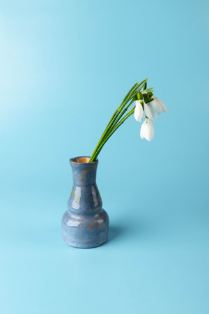 snowdrop. White spring flower close-up with copy space.の写真素材