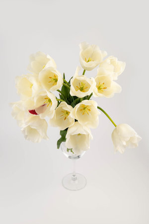 Fresh beautifull bouquet of white spring tulips on white background. spring concept.の写真素材
