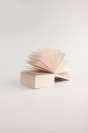 Small gray book open with blank pages. Blank Sticker notes on the white background. sticky Note...