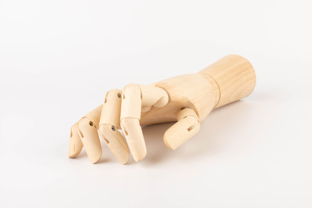 Wooden hand of mannequin on white backgroundの写真素材