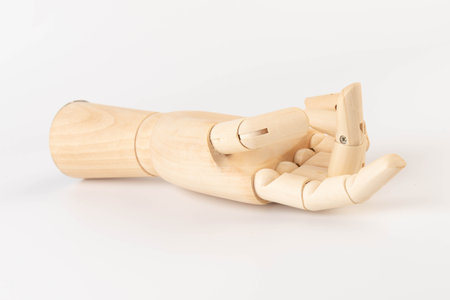 Wooden hand of mannequin on white backgroundの写真素材