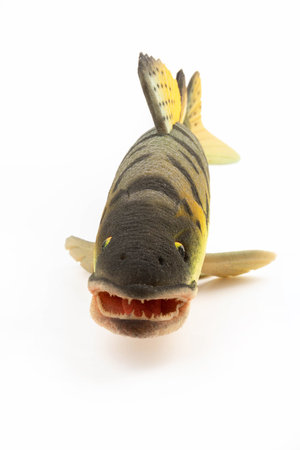 Toy-fish on white background. Realistic animal toy.