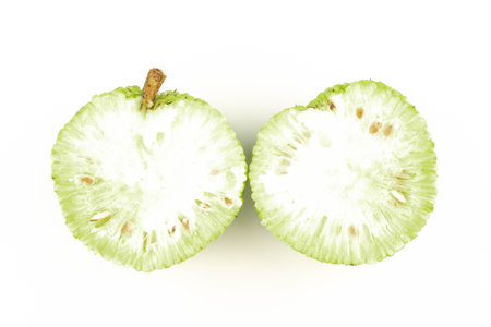 Osage Oranges (Maclura) Isolated on White Background. Hedge Apple close up