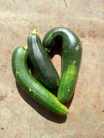 Unusual shaped green zucchini, zucchini heart, vegetarianism conceptの写真素材